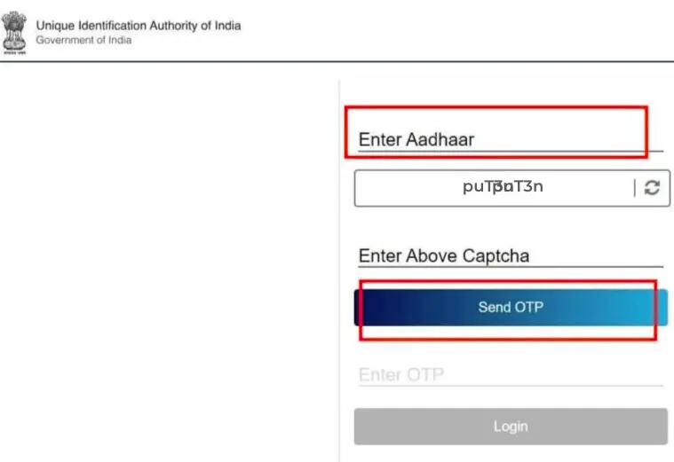 snapshot of send otp request